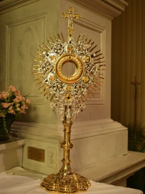 SJSJ adoration under the stars